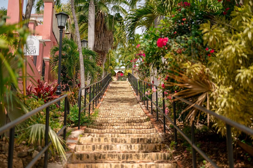 The 99 Steps in Charlotte Amalie, the stairway climbing from the waterfront up to The Mary Anne