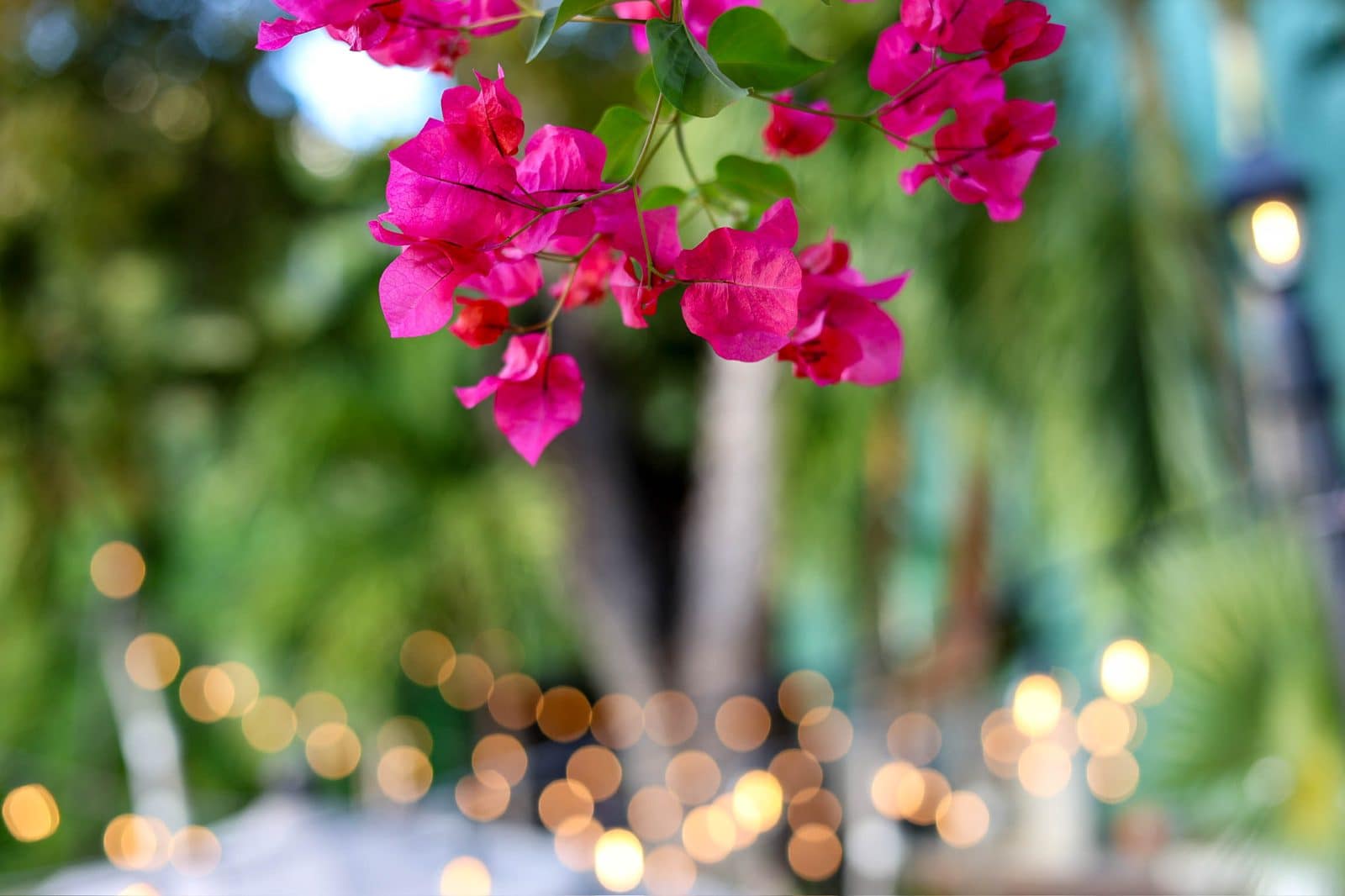 St. Thomas all inclusive honeymoon packages at The Mary Anne Boutique Hotel